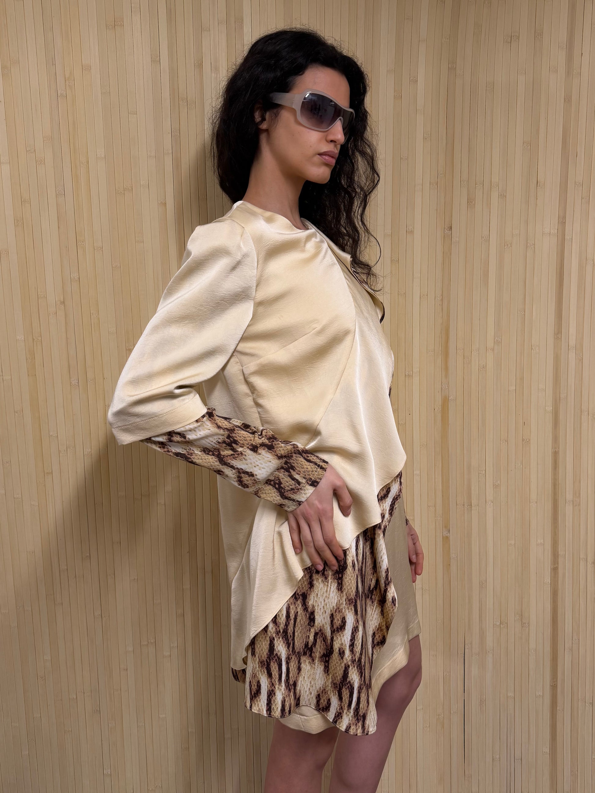 Roberto Cavalli dress