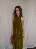 Velvet maxi dress